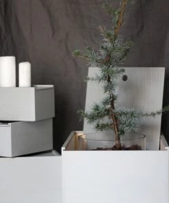 Hot Sale ???? Lundia System 3 Box, Grey ???? -Muuto Shop 19Lundia iso 2