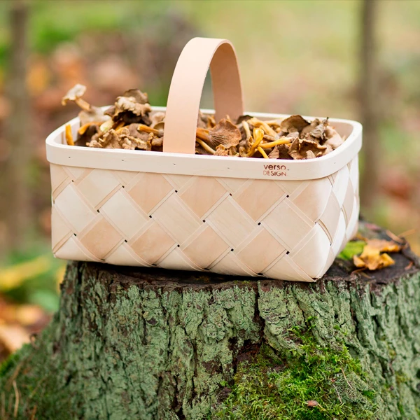 Lastu mushroom basket, S Promo ???? Verso Design Lastu Mushroom Basket, S ???? -Muuto Shop 31Verso2014 iso fv