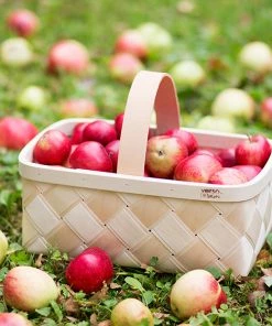 Promo ???? Verso Design Lastu Mushroom Basket, S ???? 5 Promo ???? Verso Design Lastu Mushroom Basket, S ???? -Muuto Shop 33Verso2014 iso fv