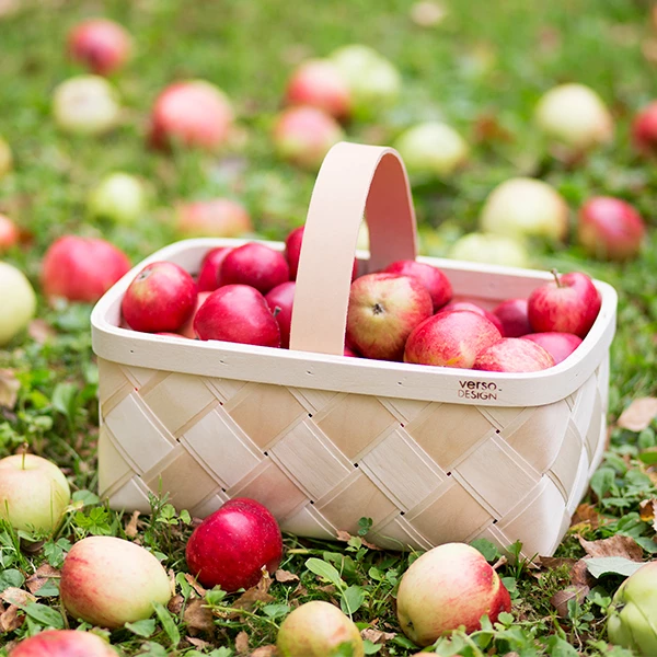 Lastu mushroom basket, S Promo ???? Verso Design Lastu Mushroom Basket, S ???? -Muuto Shop 33Verso2014 iso fv