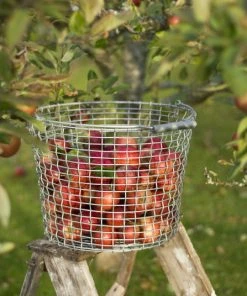 Outlet ???? Korbo Bucket 24 Wire Basket, Galvanized ⌛ -Muuto Shop Bucket 24 Apple tree