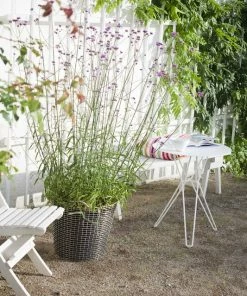 Promo ❤️ Korbo Classic 65 Wire Basket, Galvanized ???? -Muuto Shop Classic 65 planting bag Verbena 1
