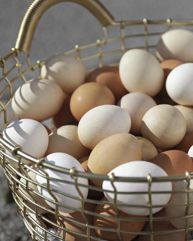 Bin 16 wire basket, brass New ✨ Korbo Bin 16 Wire Basket, Brass ???? -Muuto Shop Easter Egg Bin 16 Brass