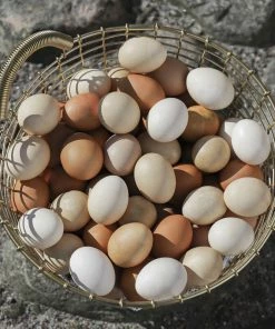 New ✨ Korbo Bin 16 Wire Basket, Brass ???? 5 New ✨ Korbo Bin 16 Wire Basket, Brass ???? -Muuto Shop Easter Egg Bin 16 Brass 2