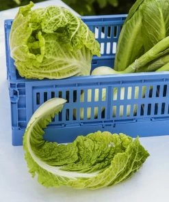 Discount ???? HAY Colour Crate, S, Recycled Plastic, Electric Blue ???? 4 Discount ???? HAY Colour Crate, S, Recycled Plastic, Electric Blue ???? -Muuto Shop FDS5ruoka