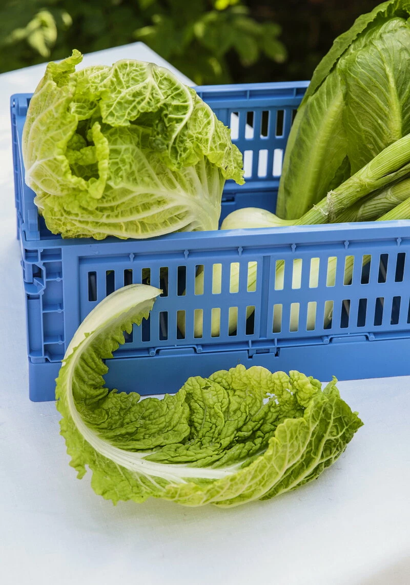 Colour Crate, S, recycled plastic, electric blue Discount ???? HAY Colour Crate, S, Recycled Plastic, Electric Blue ???? -Muuto Shop FDS5ruoka